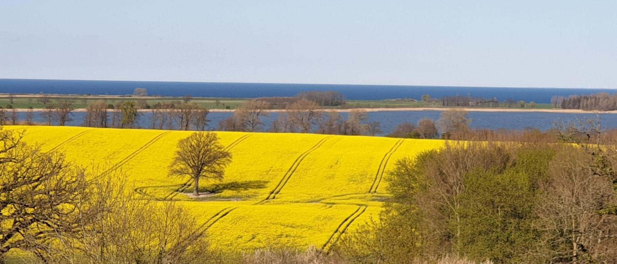 Idyllisches-Blockbohlenhaus-Mit-Eigenem-Garten-Und-Sauna-Zum-Wohlfuehlen Martensrade Eksteriør billede