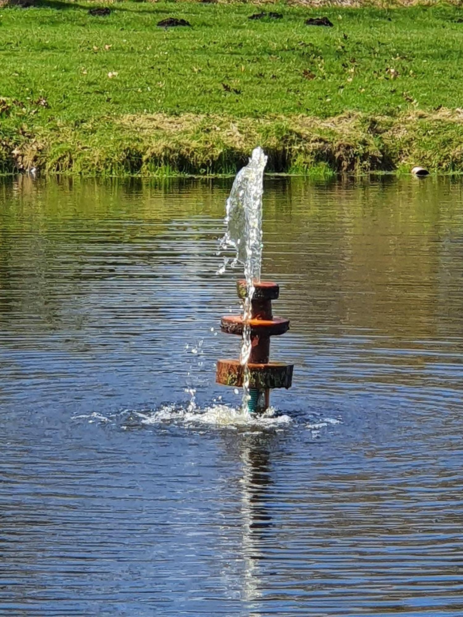 Idyllisches-Blockbohlenhaus-Mit-Eigenem-Garten-Und-Sauna-Zum-Wohlfuehlen Martensrade Eksteriør billede