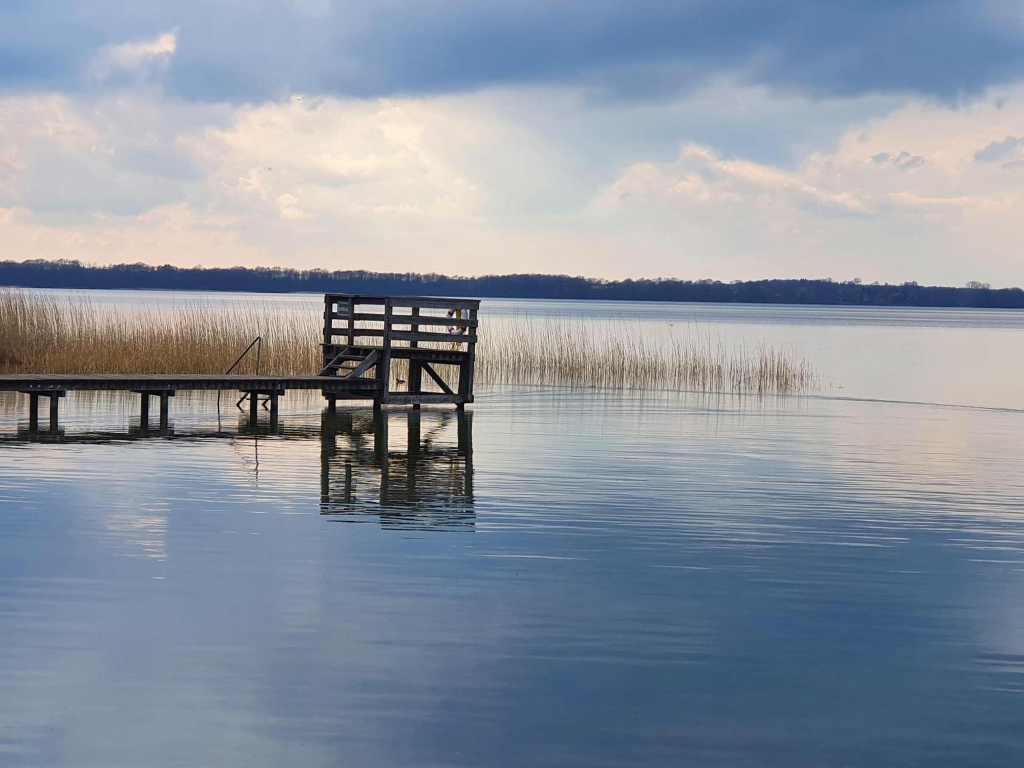 Idyllisches-Blockbohlenhaus-Mit-Eigenem-Garten-Und-Sauna-Zum-Wohlfuehlen Martensrade Eksteriør billede