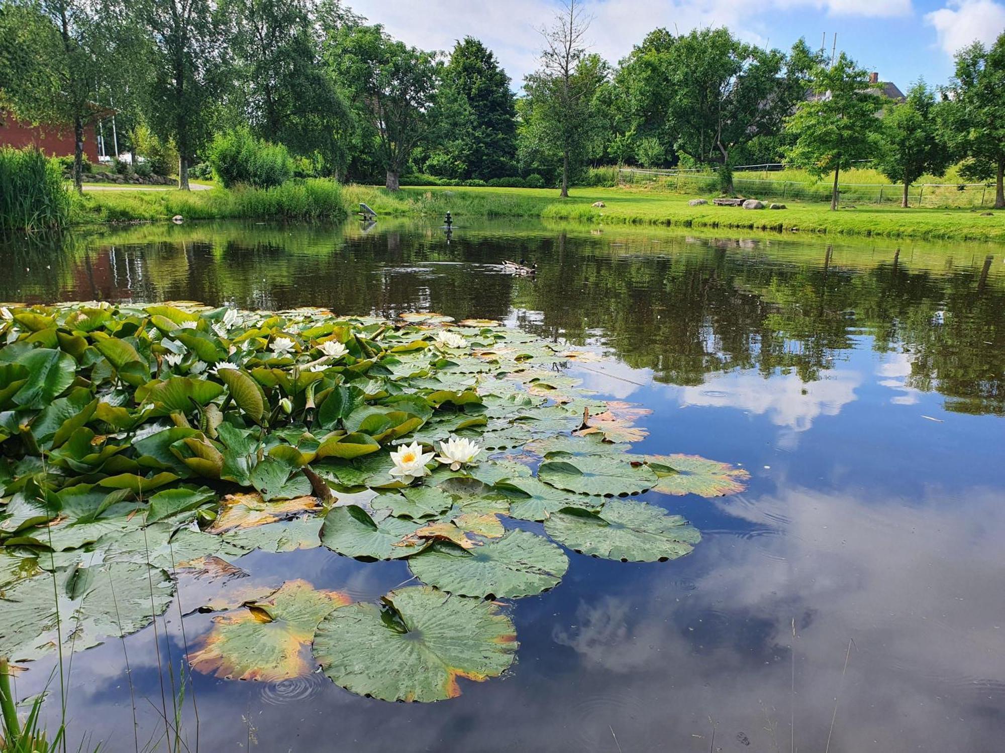 Idyllisches-Blockbohlenhaus-Mit-Eigenem-Garten-Und-Sauna-Zum-Wohlfuehlen Martensrade Eksteriør billede