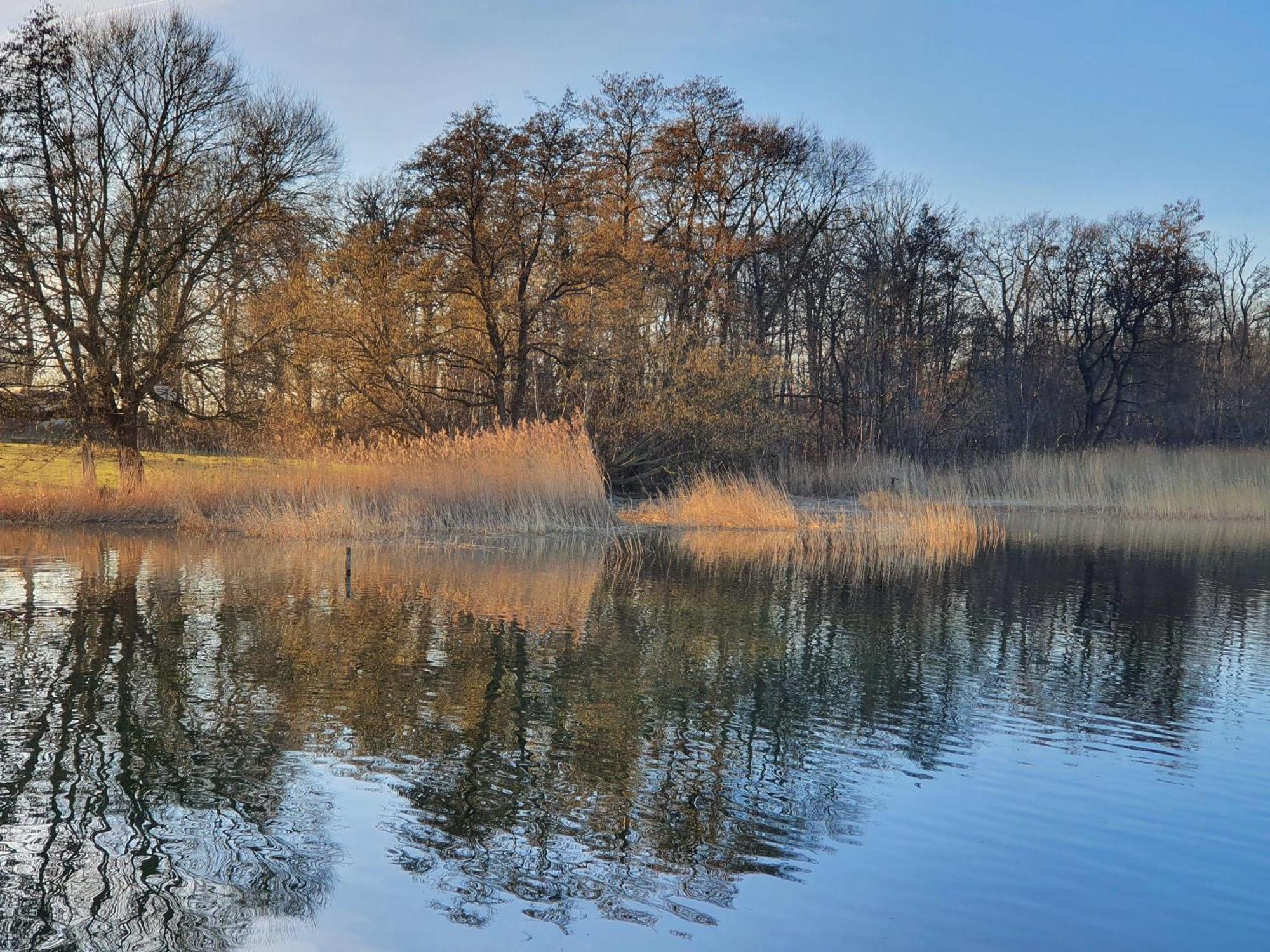 Idyllisches-Blockbohlenhaus-Mit-Eigenem-Garten-Und-Sauna-Zum-Wohlfuehlen Martensrade Eksteriør billede